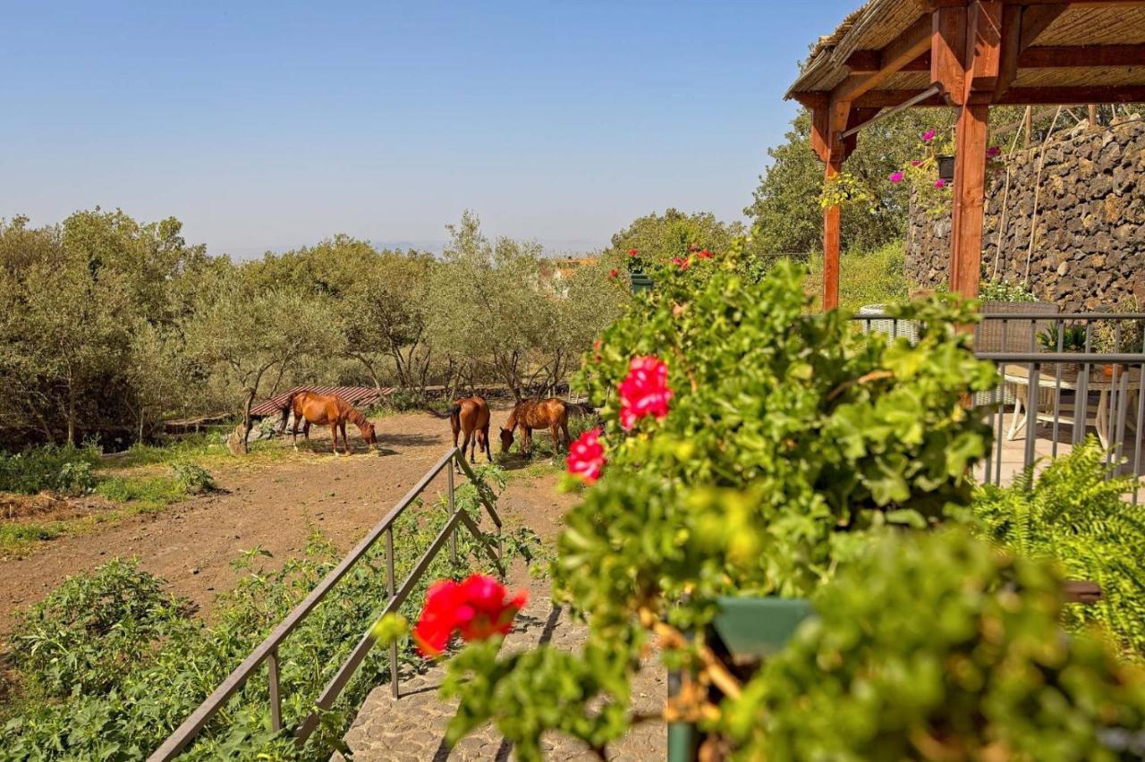 Apartament Horse House Ragalna Zewnętrze zdjęcie