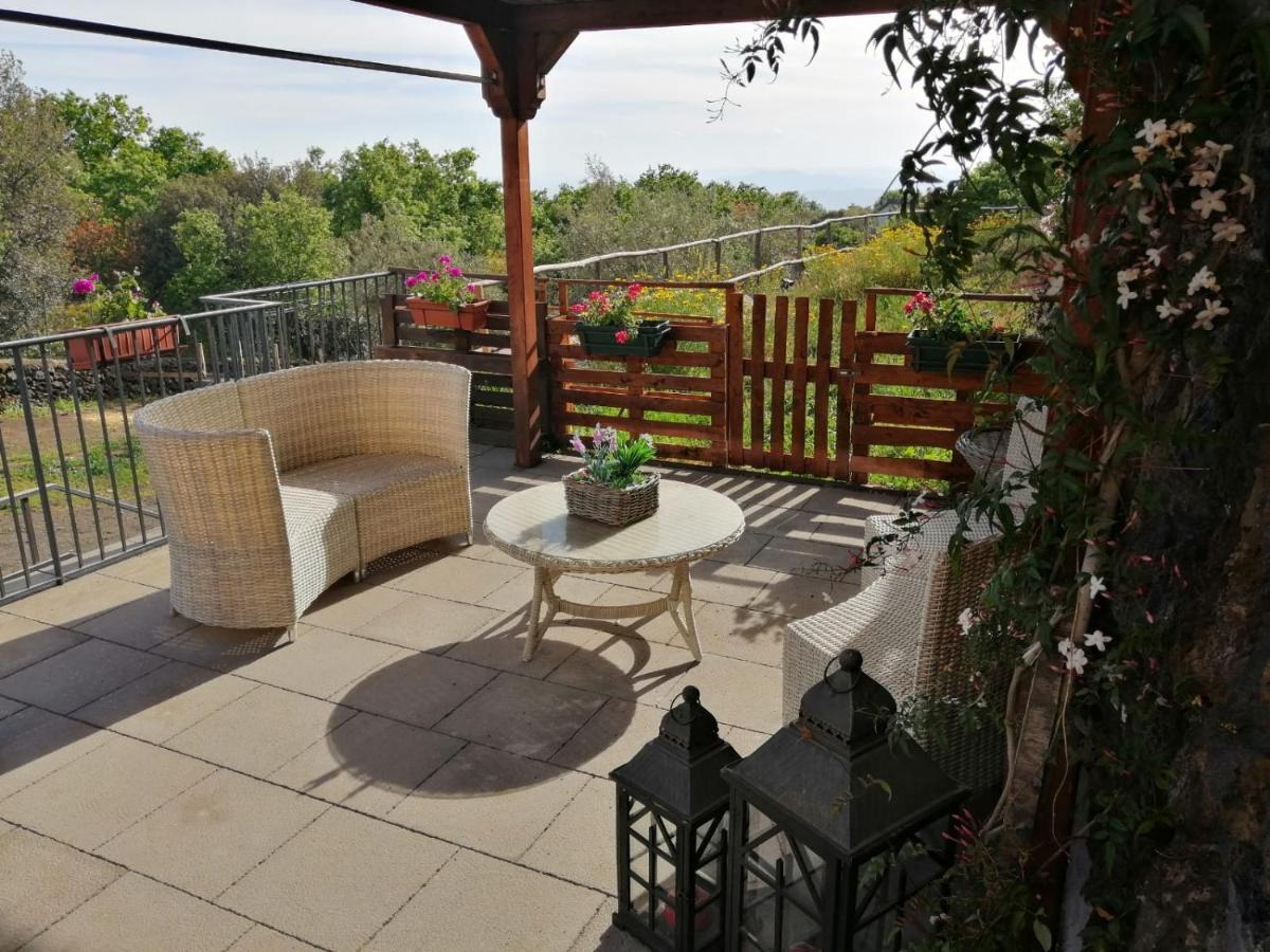 Apartament Horse House Ragalna Zewnętrze zdjęcie